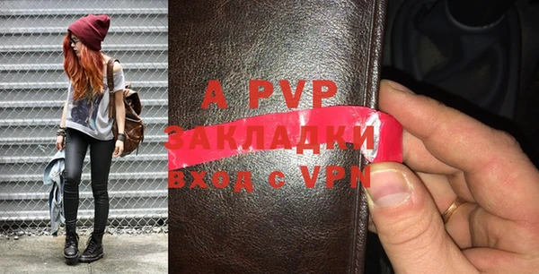 стафф Богданович