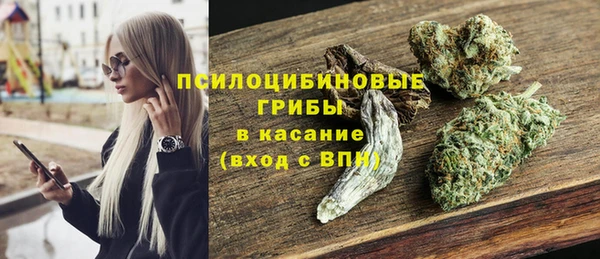 наркотики Болотное