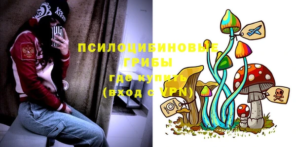 экстази Богородск