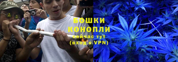 стафф Богданович