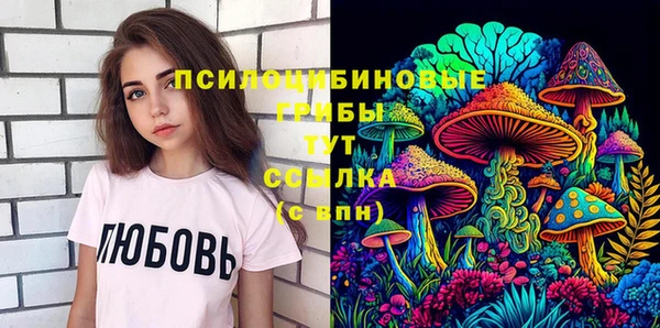 прущая мука Богородицк