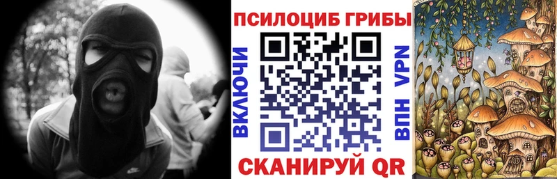 Галлюциногенные грибы Psilocybine cubensis  hydra вход  Волгореченск 